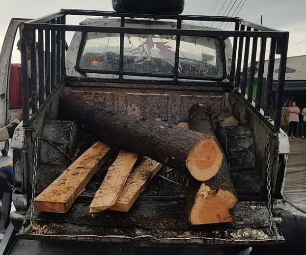 La SSC asegura material forestal en la Malinche